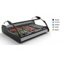 Display case refrigerated VX3S XL fish and seafood